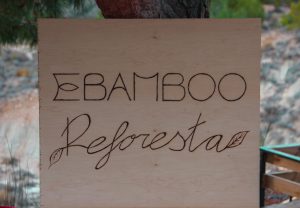Cartel de la reforestación "EBAMBOO reforesta"