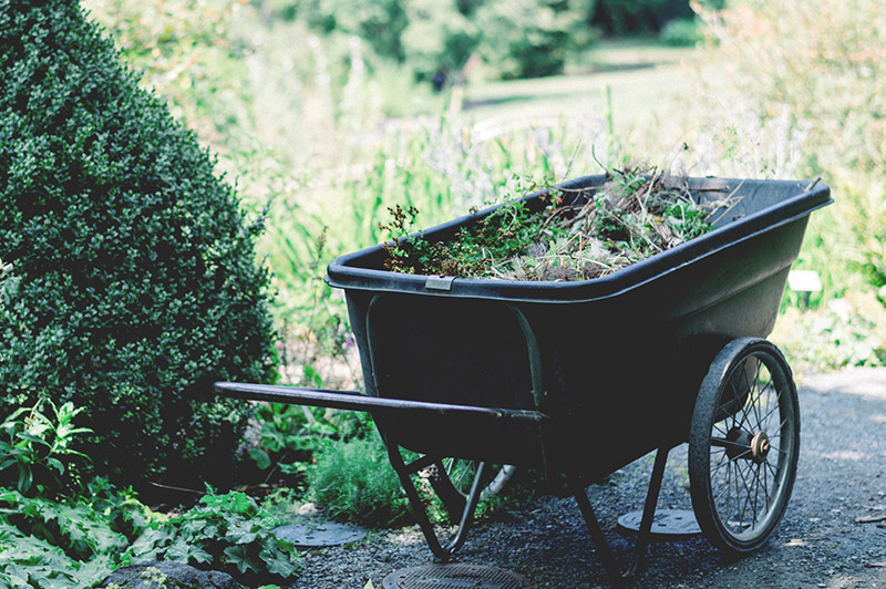gardener-11-1